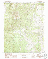 West Fork Rio Brazos 1983 topographic map thumbnail