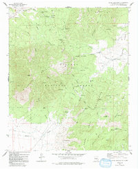 White Oaks South 1973 topographic map thumbnail