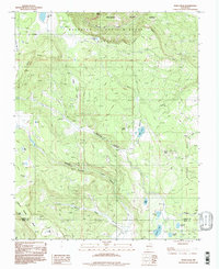 White Peak 1994 topographic map thumbnail