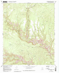 Woodland Park 1965 topographic map thumbnail