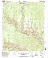 Woodland Park 1999 topographic map thumbnail