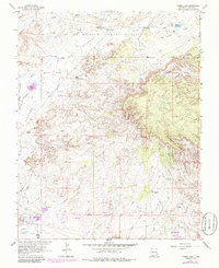 Youngs Lake 1963 topographic map thumbnail