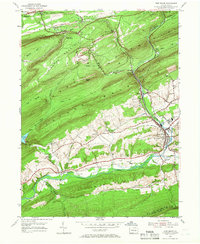 Pine Grove 1954 topographic map thumbnail