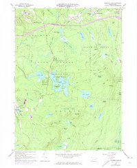 Promised Land 1966 topographic map thumbnail