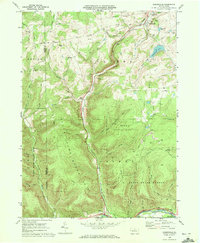 Sabinsville 1969 topographic map thumbnail