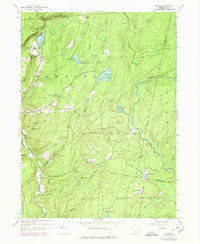 Skytop 1943 topographic map thumbnail