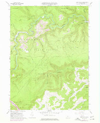 Snow Shoe SE 1960 topographic map thumbnail