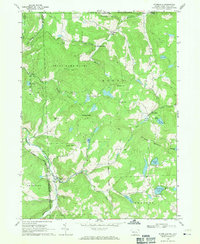 Starrucca 1968 topographic map thumbnail