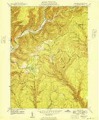 Tamarack 1948 topographic map thumbnail