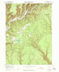 Tamarack 1946 topographic map thumbnail