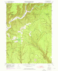 Tamarack 1946 topographic map thumbnail