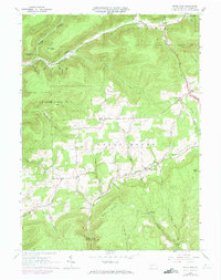 White Pine 1965 topographic map thumbnail