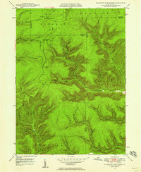 Wildwood Fire Tower 1948 topographic map thumbnail