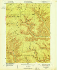 Wildwood Fire Tower 1950 topographic map thumbnail