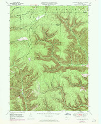 Wildwood Fire Tower 1948 topographic map thumbnail