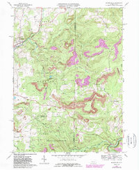Mc Gees Mills 1968 topographic map thumbnail