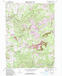 Mc Gees Mills 1968 topographic map thumbnail