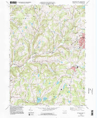 Montrose West 1994 topographic map thumbnail