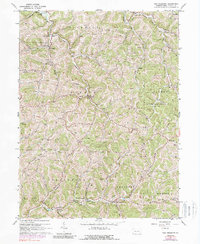New Freeport 1964 topographic map thumbnail
