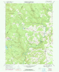 Kingwood 1967 topographic map thumbnail