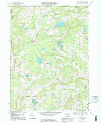 Laurel Lake 1992 topographic map thumbnail