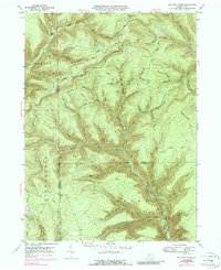 Lee Fire Tower 1947 topographic map thumbnail