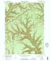 Lee Fire Tower 1947 topographic map thumbnail