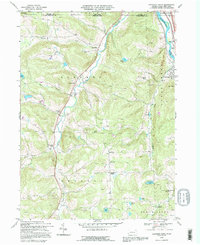 Franklin Forks 1992 topographic map thumbnail