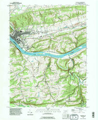 Danville 1994 topographic map thumbnail