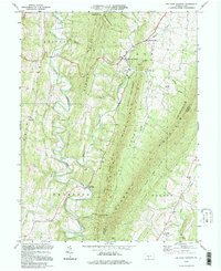 Big Cove Tannery 1994 topographic map thumbnail