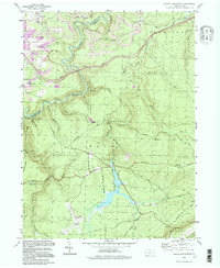 Black Moshannon 1994 topographic map thumbnail