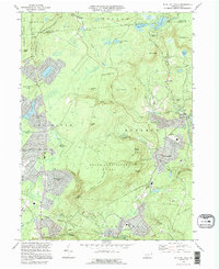 Buck Hill Falls 1994 topographic map thumbnail