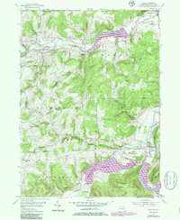 Tioga 1954 topographic map thumbnail