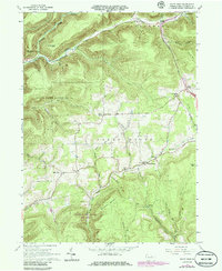 White Pine 1965 topographic map thumbnail
