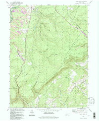 Sandy Ridge 1994 topographic map thumbnail