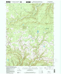 Shunk 1995 topographic map thumbnail
