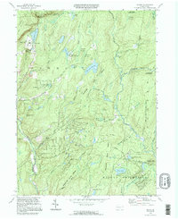 Skytop 1994 topographic map thumbnail