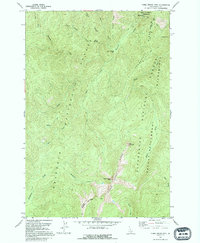 Three Prong Mtn 1991 topographic map thumbnail
