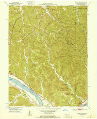 Buena Vista 1951 topographic map thumbnail