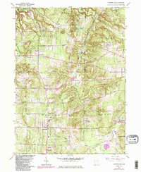 Chesterland 1963 topographic map thumbnail
