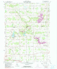 Nettle Lake 1961 topographic map thumbnail