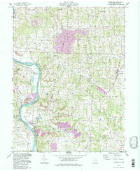 Adamsville 1994 topographic map thumbnail