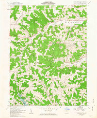 Spring Mountain 1962 topographic map preview