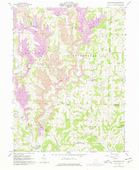 Reinersville 1961 topographic map thumbnail