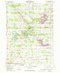 Nettle Lake 1961 topographic map thumbnail
