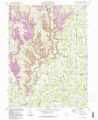 Reinersville 1994 topographic map thumbnail