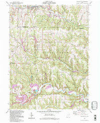 Salineville 1994 topographic map thumbnail