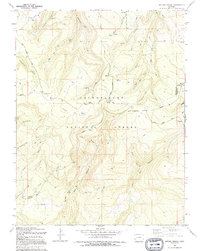Antone Spring 1994 topographic map thumbnail