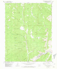 Arkansas Mountain 1980 topographic map thumbnail