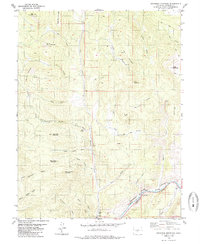 Arkansas Mountain 1980 topographic map thumbnail